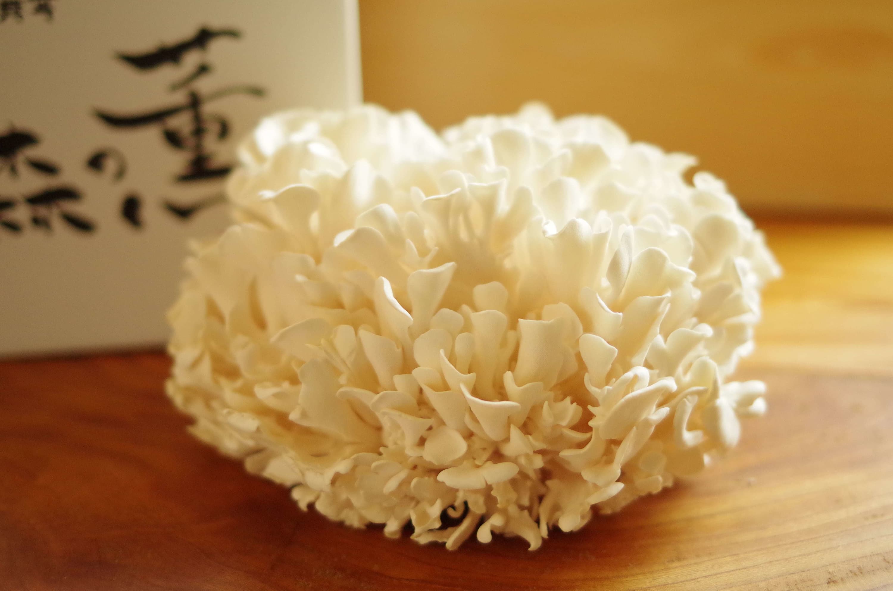 信州森のきのこ工房 白舞茸